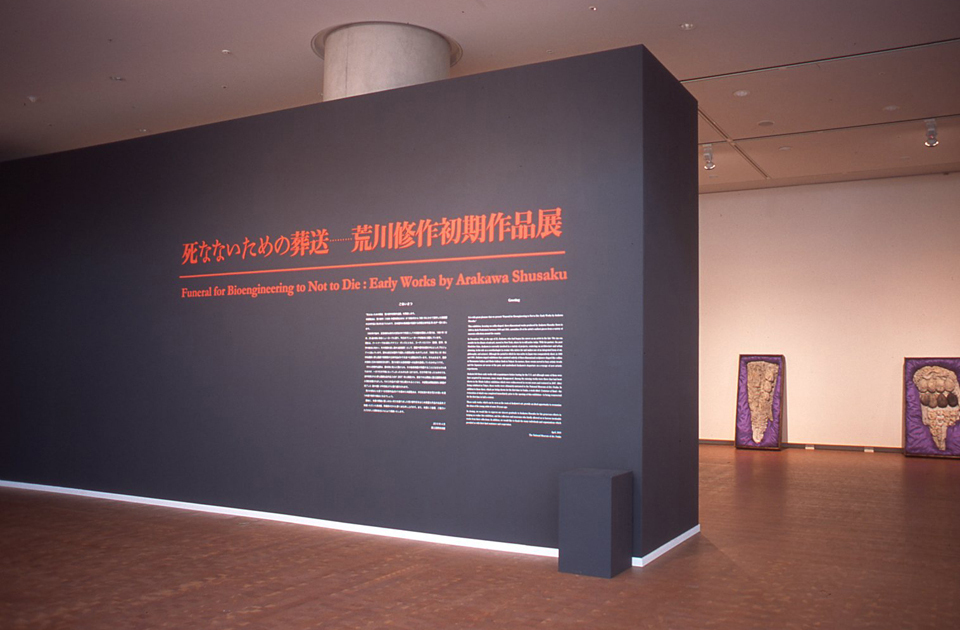 展示風景(提供:国立国際美術館)